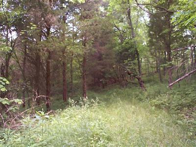 2665 East Burton Road Georgetown, KY 40324 - Photo 1 of 3 Photo 1