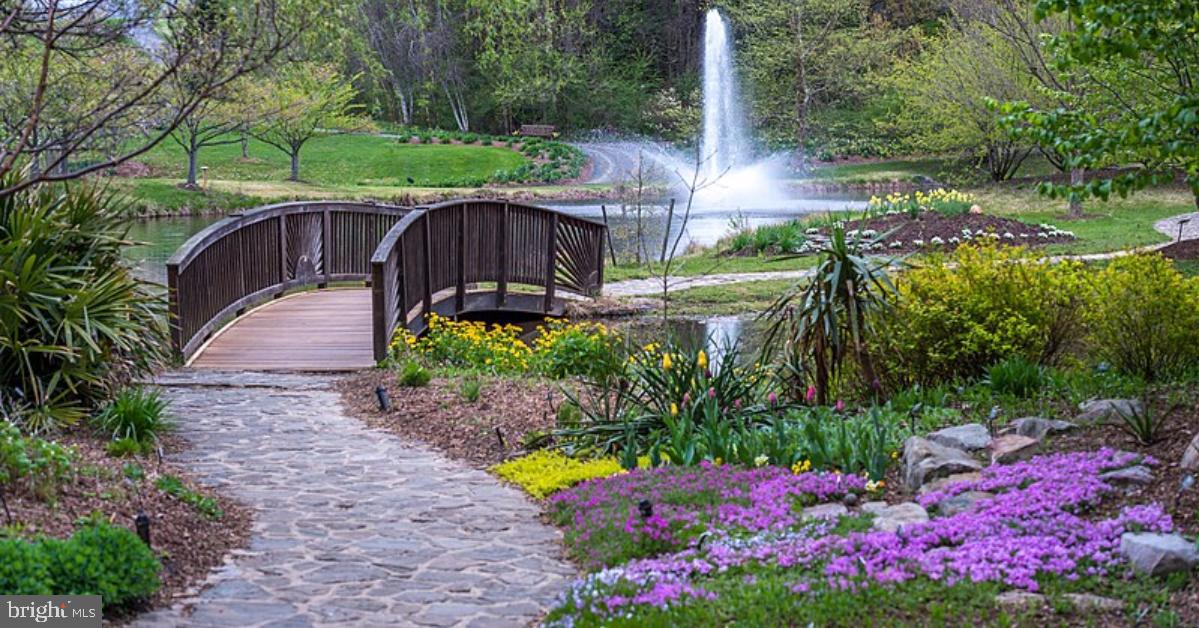 8609 Raglan Road Vienna, VA 22182 - Photo 60 of 83 SPRING AT VIENNA'S MEADOWLARK GARDENS