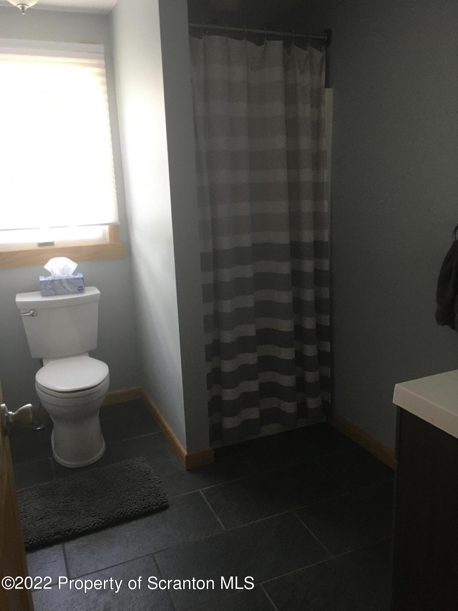 487 Baptist Hill Road Hallstead, PA 18822 - Photo 16 of 53 a bathroom with a toilet and a shower