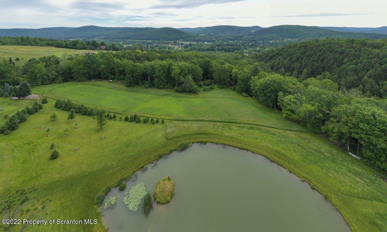 487 Baptist Hill Road Hallstead, PA 18822 - Photo 36 of 53 a view of a lake with a mountain in the background