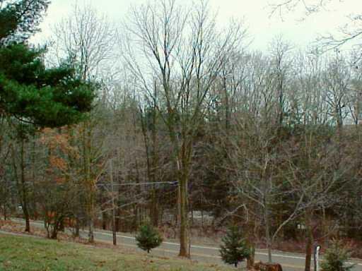Rd #3 Box 134 Rt 956 Volant, PA 16156 - Photo 7 of 7 View.