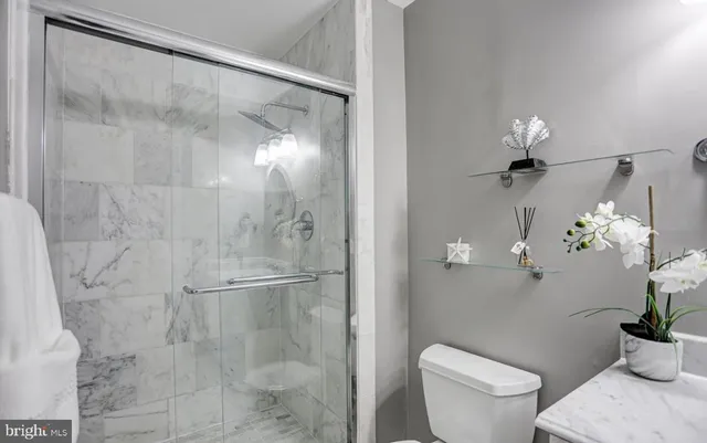 a bathroom with a shower and a toilet