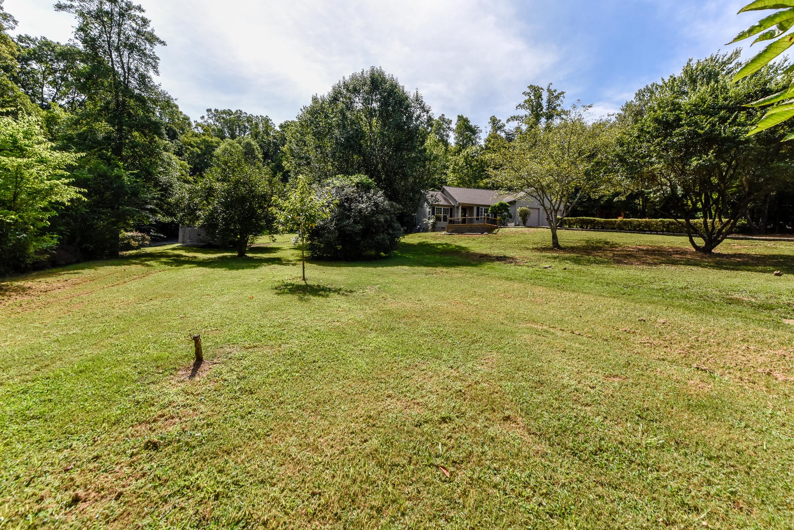 3901 Freels Road Friendsville, TN 37737 - Photo 7 of 39 Gallery Image 7