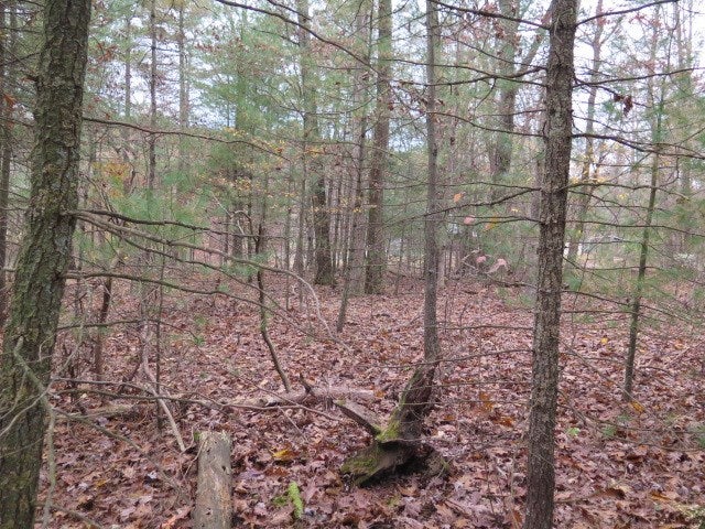 0 Forest Road Hustontown, PA 17229 - Photo 16 of 25 Gallery Image 16