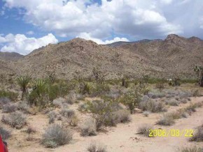 0 Lake Mead Ranchos Dolan Springs Meadview, AZ 86444 - Photo 1 of 2 Primary Photo