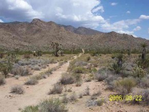0 Lake Mead Ranchos Dolan Springs Meadview, AZ 86444 - Photo 2 of 2 Additional Photo