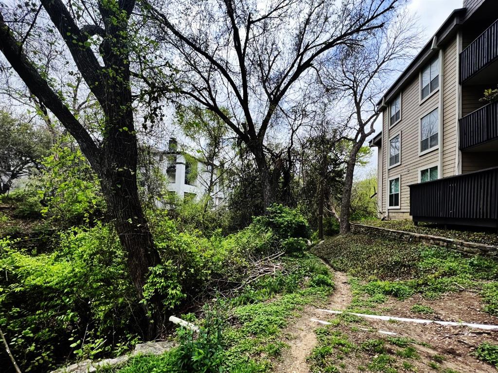 4859 Cedar Springs Road, Unit 234 Dallas, TX 75219 - Photo 19 of 22 a view of a yard with plants and large trees