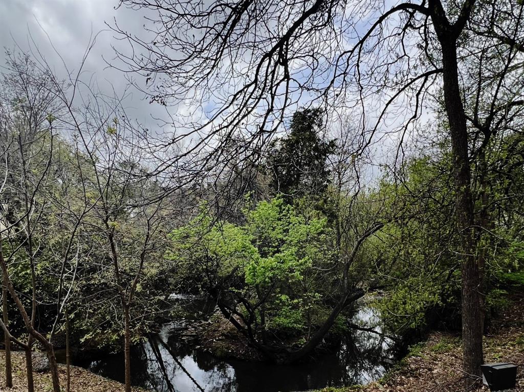4859 Cedar Springs Road, Unit 234 Dallas, TX 75219 - Photo 20 of 22 a backyard of a house with lots of green space