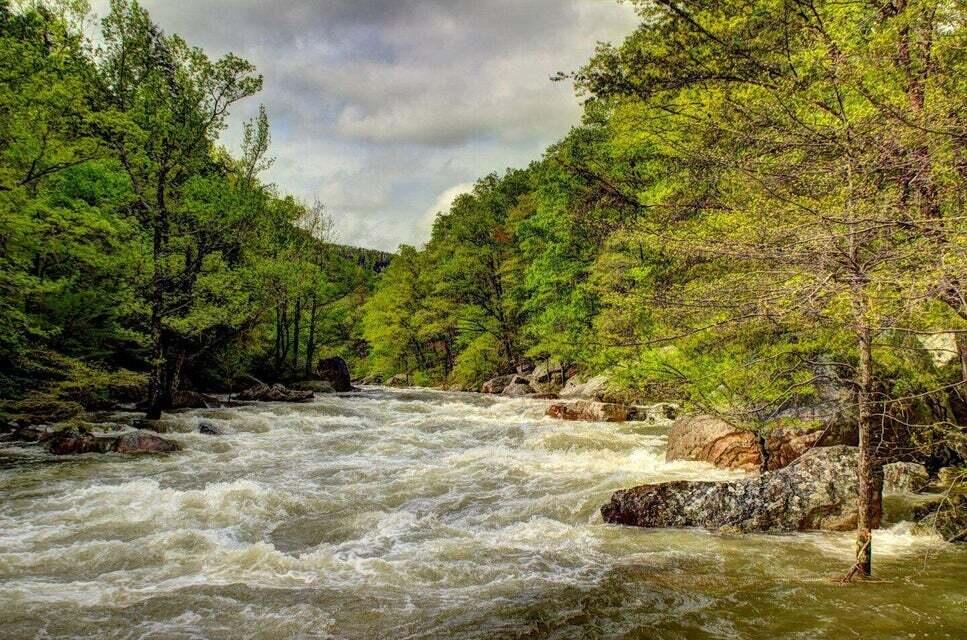 10280 Card Road Soddy Daisy, TN 37379 - Photo 52 of 64 North Chickamauga Creek Gorge State Park