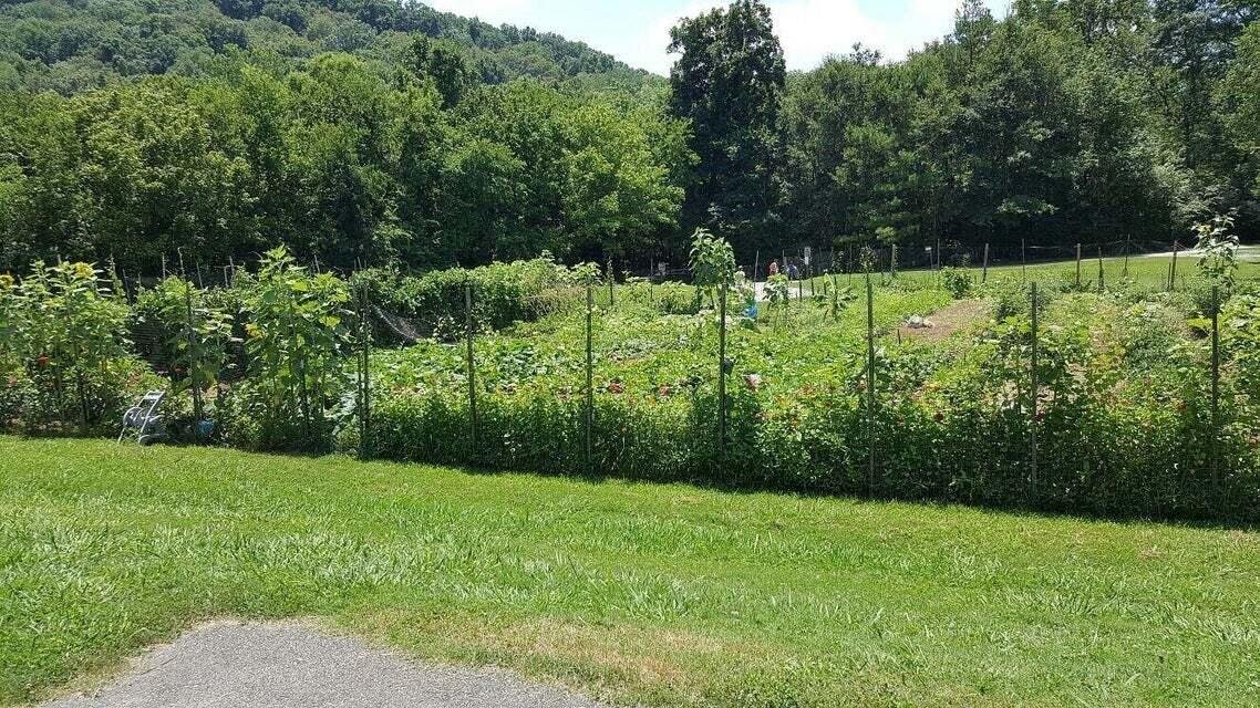 10280 Card Road Soddy Daisy, TN 37379 - Photo 55 of 64 Gardens at Greenway Farms
