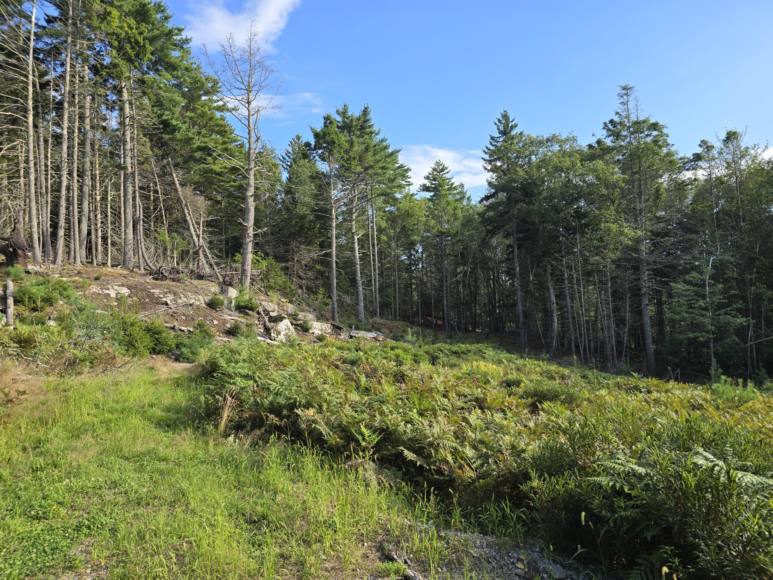 46 Ethel Road Georgetown, ME 04548 - Photo 11 of 34 20240826_163654