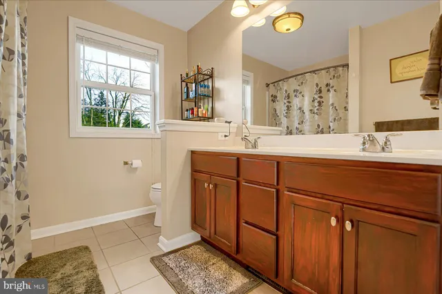 a bathroom with a sink a toilet a vanity and mirror
