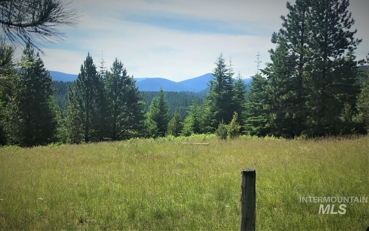 5 Hungry Ridge Road Grangeville, ID 83530 - Photo 6 of 24