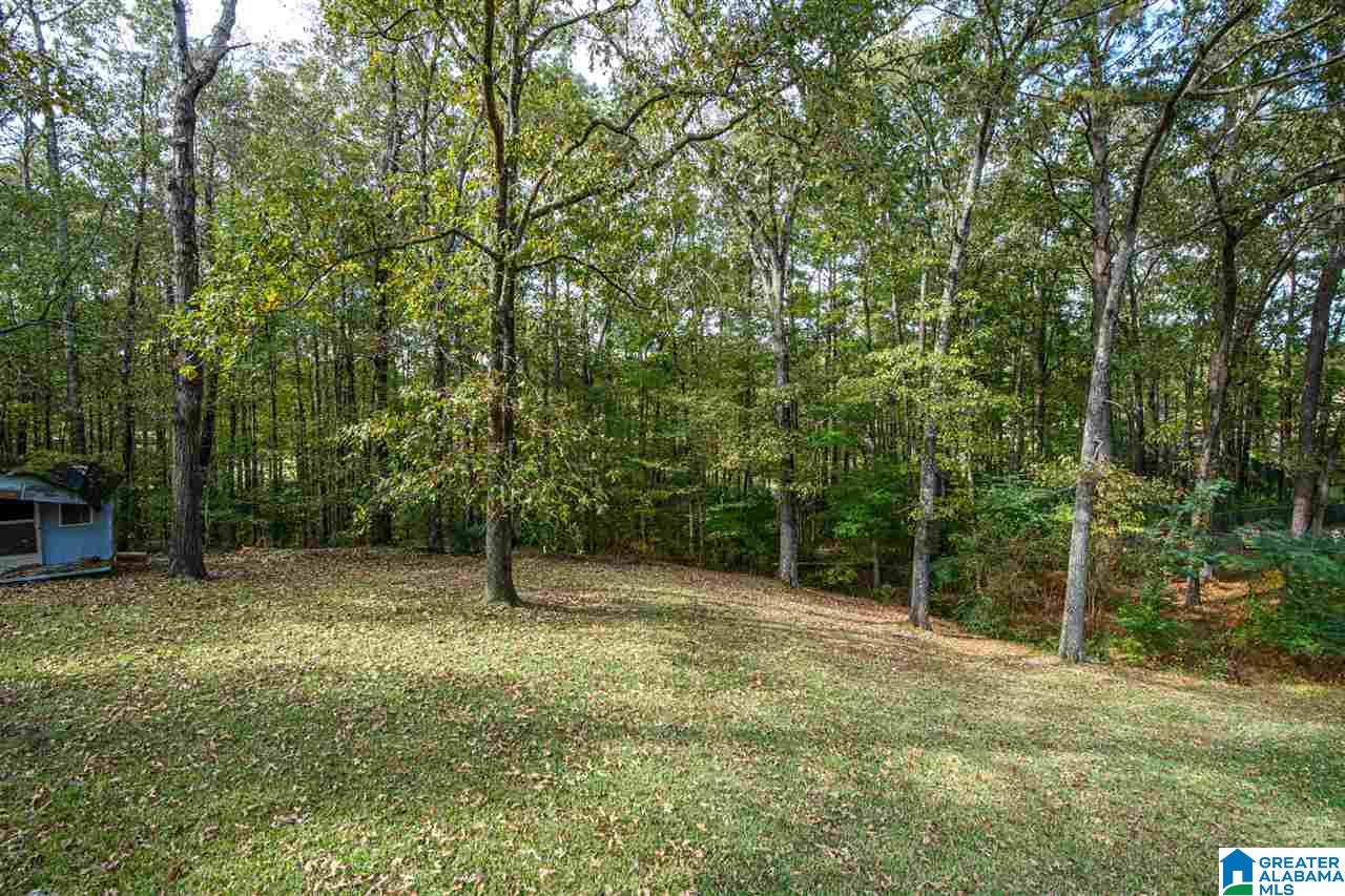 146 Cape Road Bessemer, AL 35023 - Photo 11 of 47
