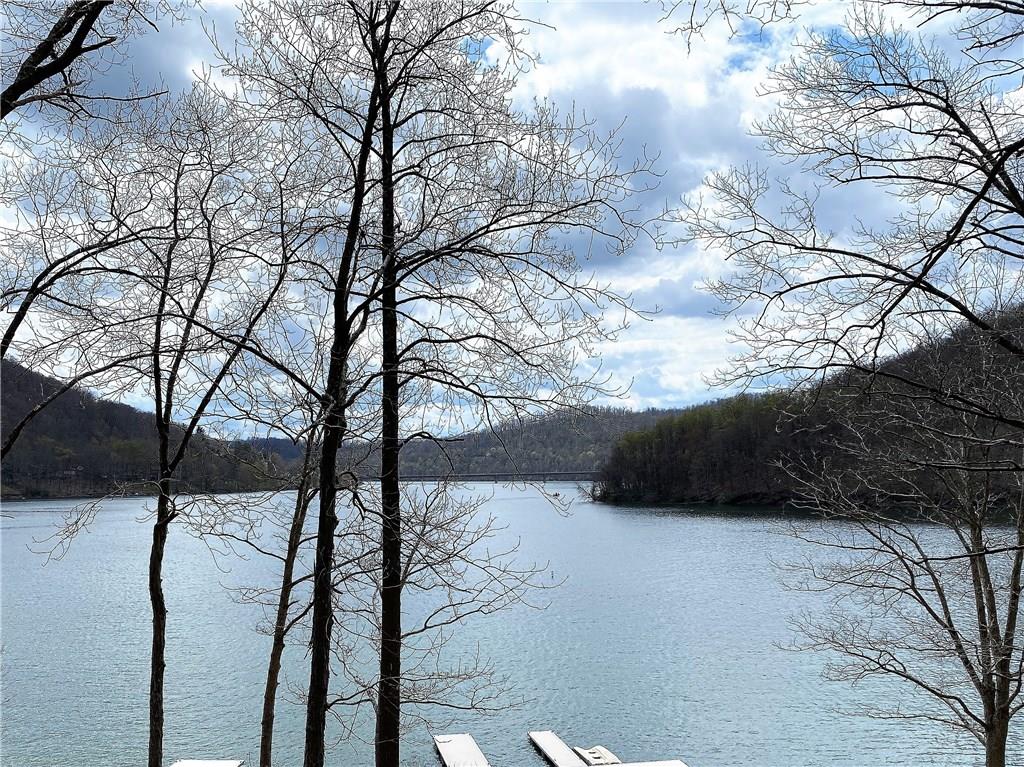 293 Eicher Road Confluence, PA 15424 - Photo 3 of 16