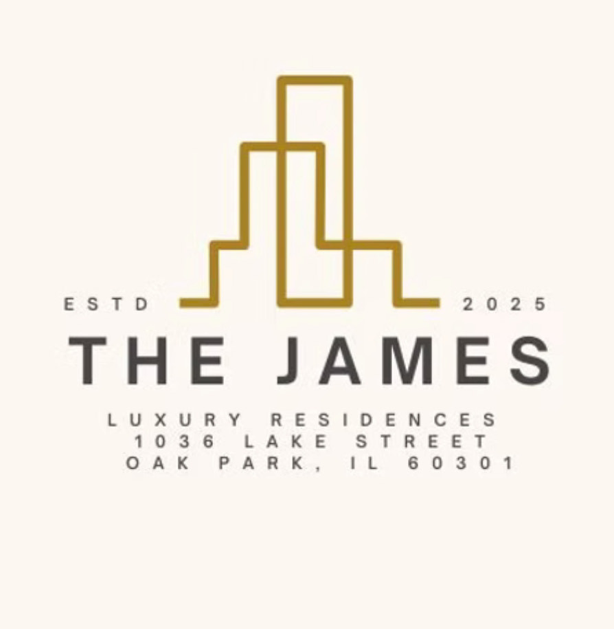 1036 Lake Street, Unit 4S Oak Park, IL 60301 - Photo 2 of 29 a white cabinet sitting in a kitchen next to a white wall