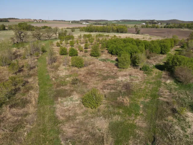 a view of an ocean beach