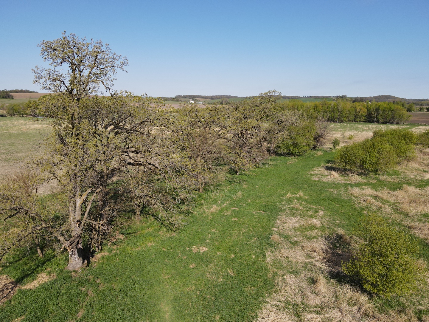 0 County Rd M Road Browntown, WI 53522 - Photo 22 of 59