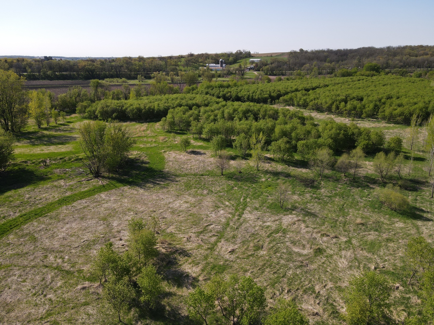 0 County Rd M Road Browntown, WI 53522 - Photo 28 of 59 a view of a lush green forest with trees