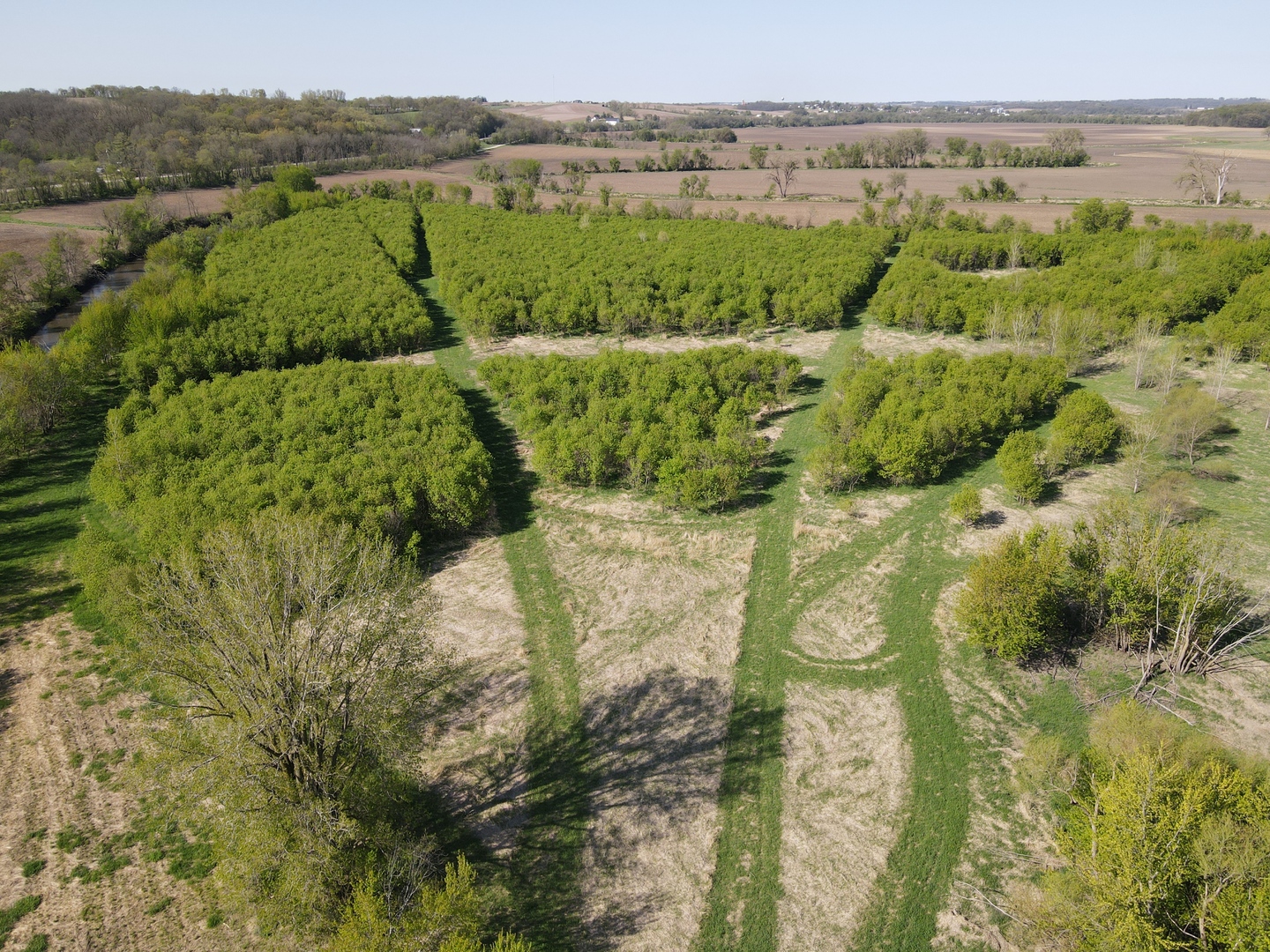 0 County Rd M Road Browntown, WI 53522 - Photo 31 of 59 a view of a bunch of trees and bushes