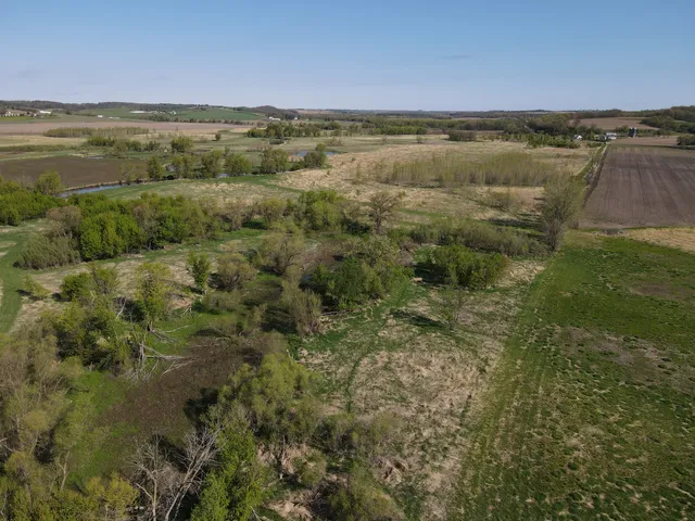 a backyard of a house with a tree