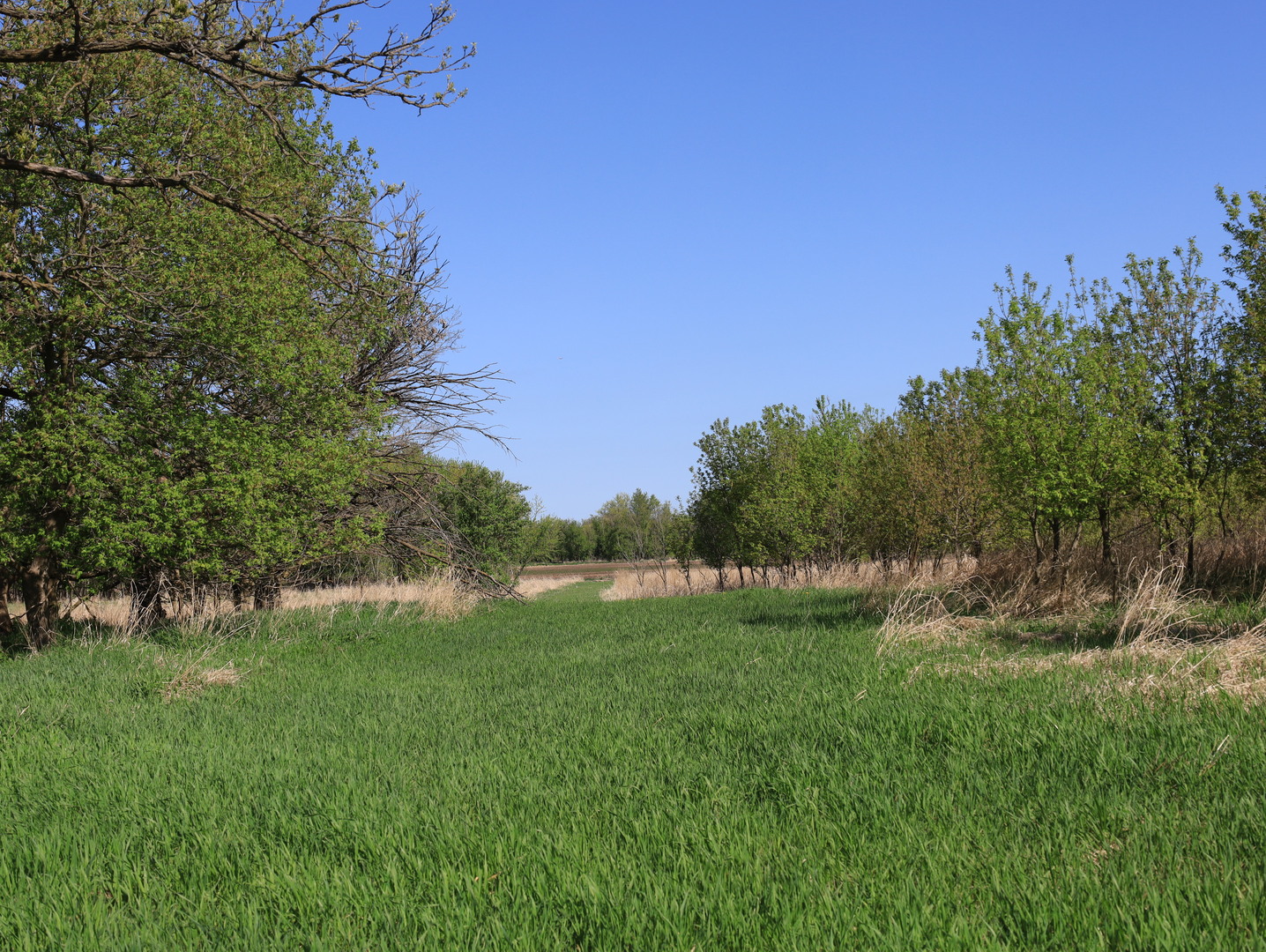 0 County Rd M Road Browntown, WI 53522 - Photo 38 of 59 a view of a lake with a yard