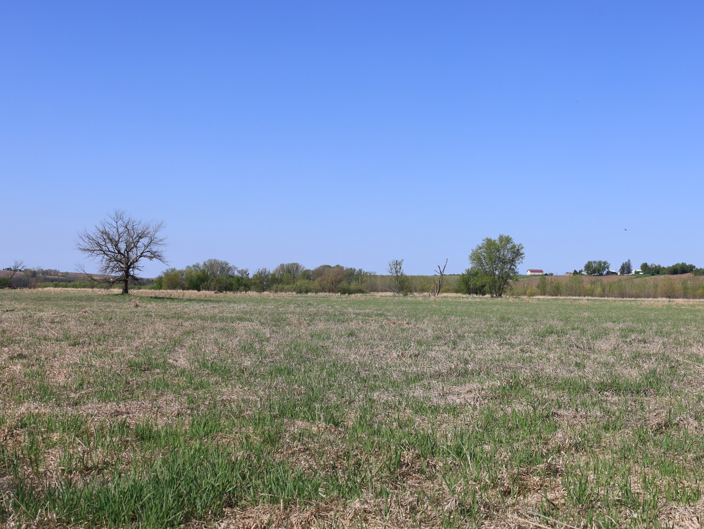 0 County Rd M Road Browntown, WI 53522 - Photo 39 of 59
