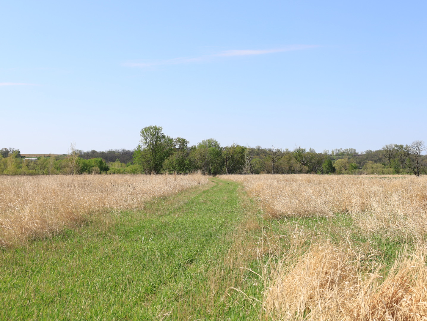 0 County Rd M Road Browntown, WI 53522 - Photo 40 of 59 a view of lake with green space