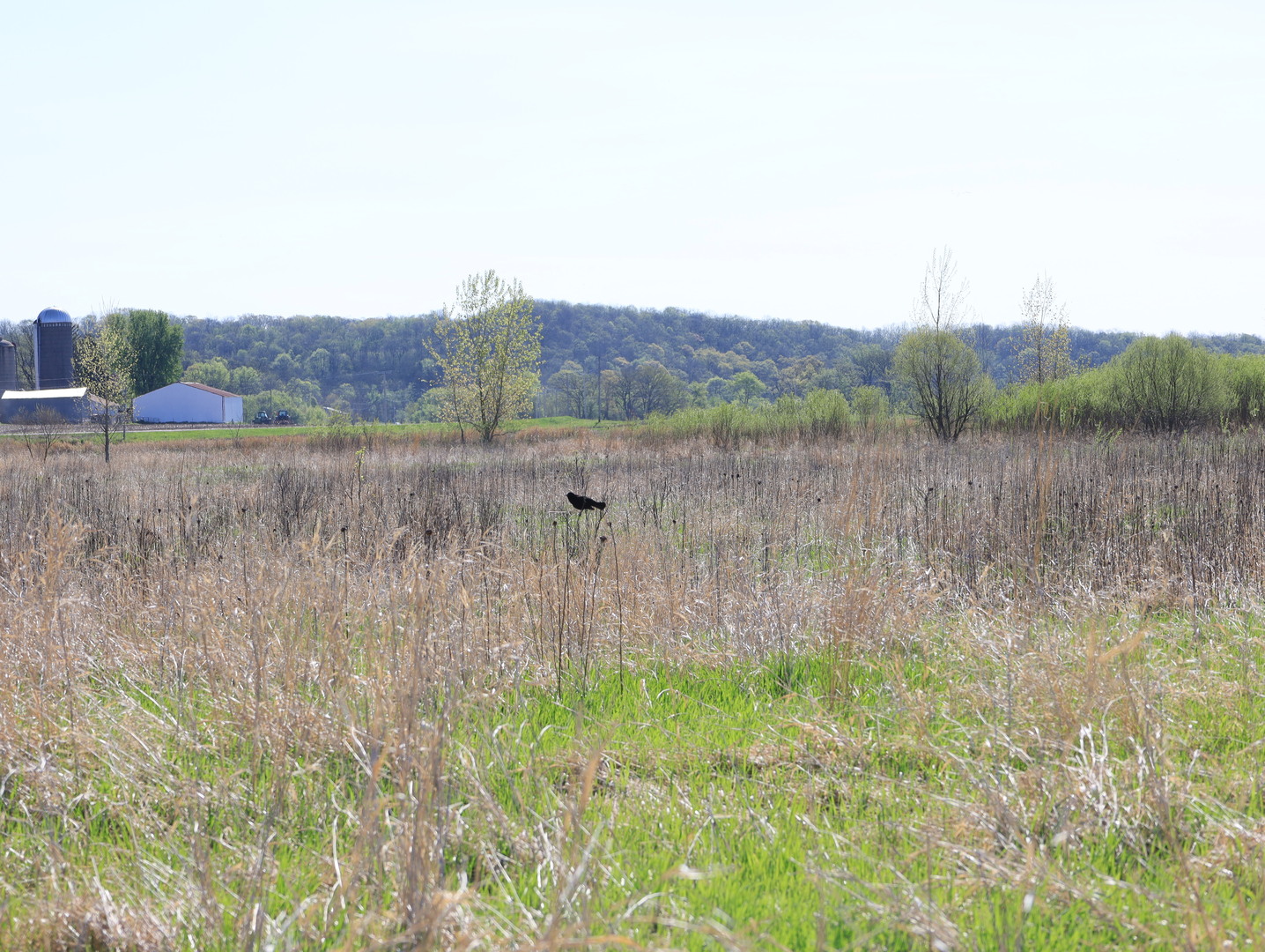 0 County Rd M Road Browntown, WI 53522 - Photo 41 of 59