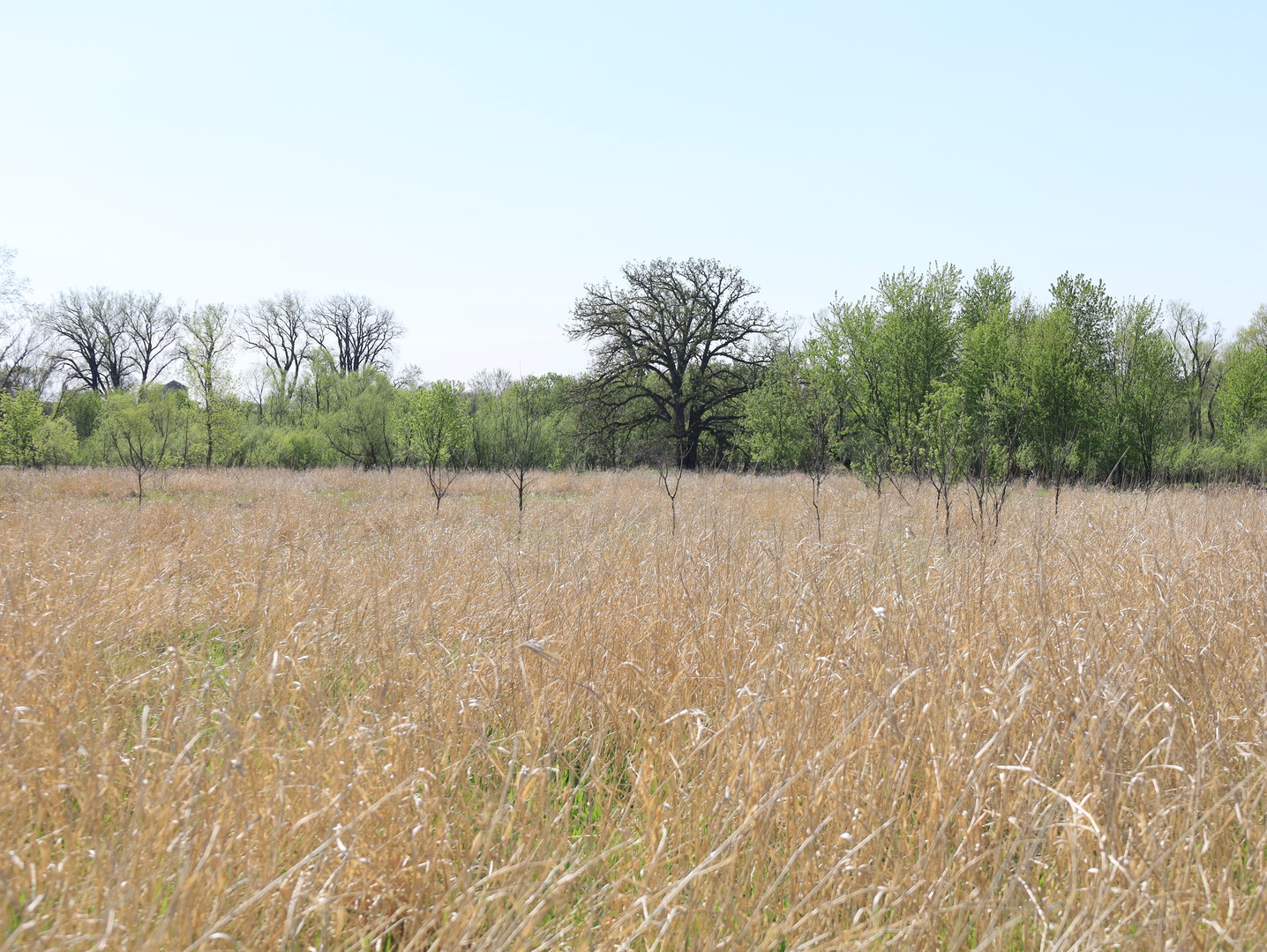 0 County Rd M Road Browntown, WI 53522 - Photo 42 of 59 a view of outside area
