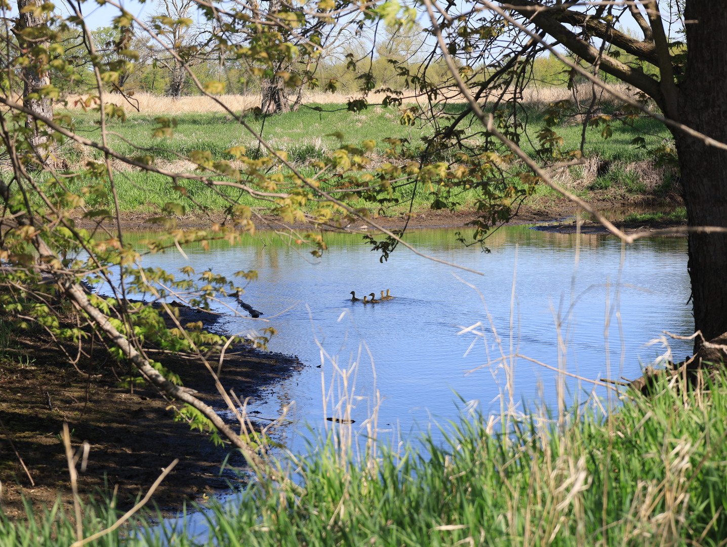 0 County Rd M Road Browntown, WI 53522 - Photo 43 of 59 a view of a garden