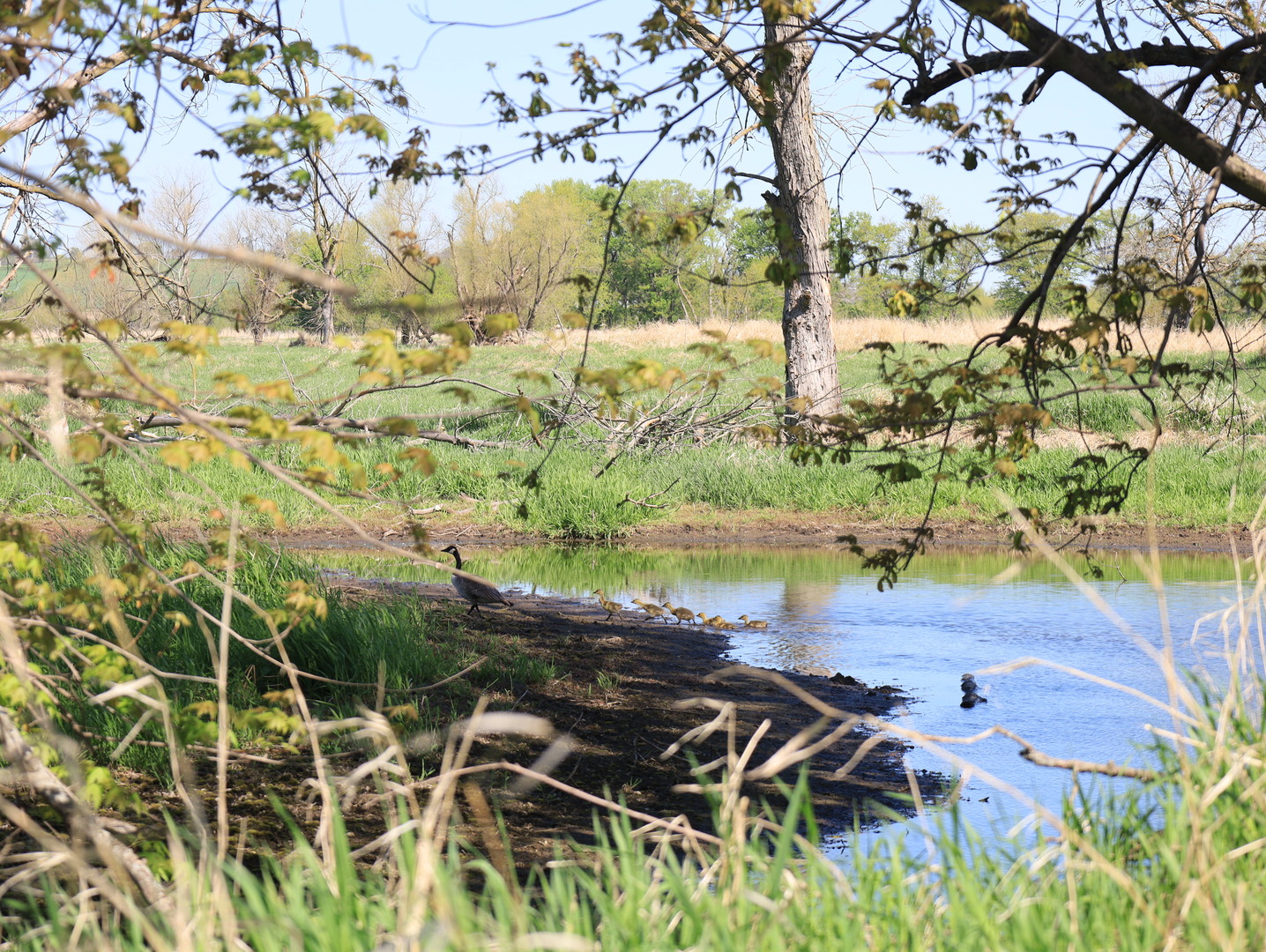 0 County Rd M Road Browntown, WI 53522 - Photo 44 of 59 a view of a lake with a yard