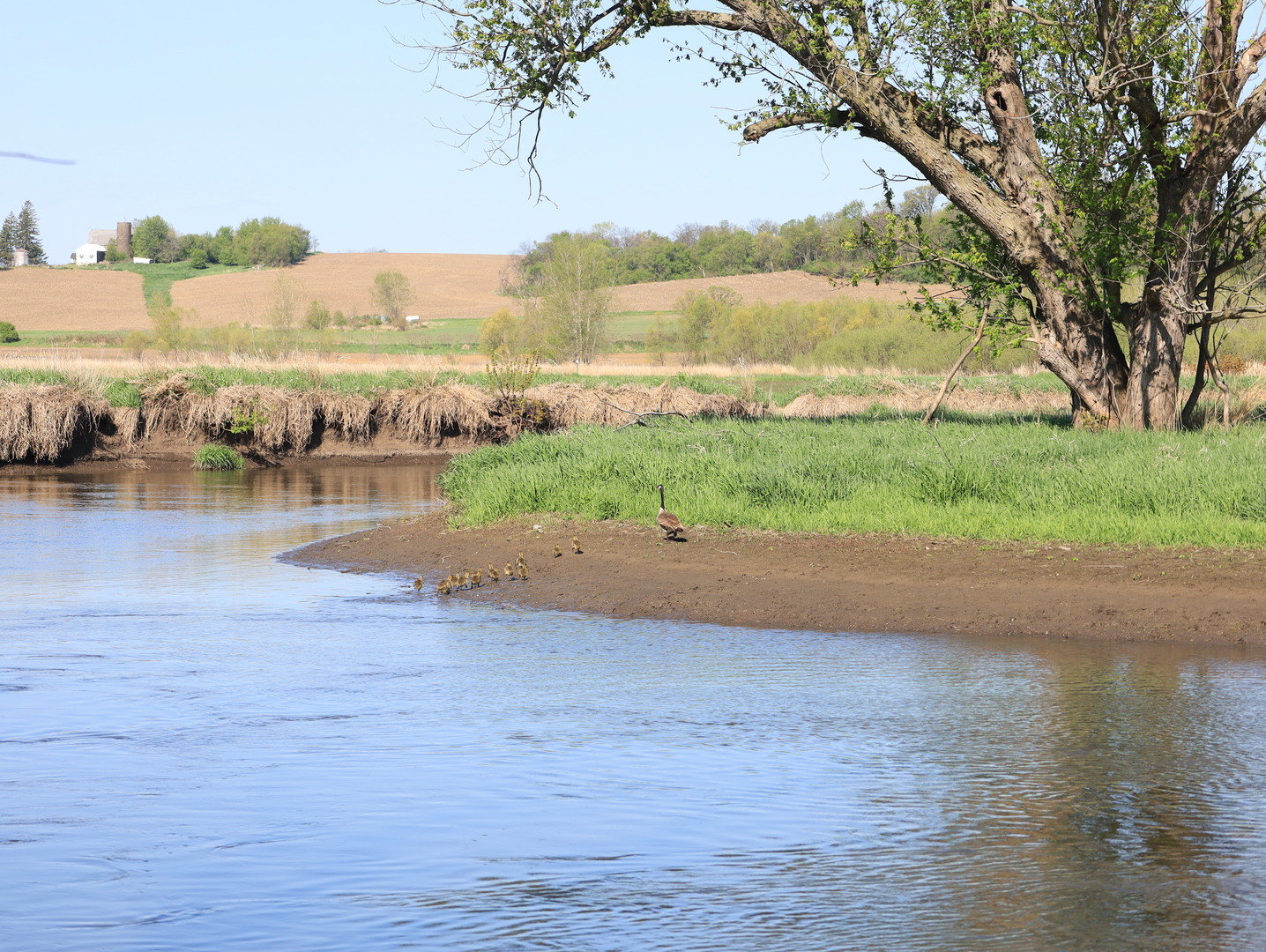 0 County Rd M Road Browntown, WI 53522 - Photo 45 of 59 a view of a lake with houses in the back