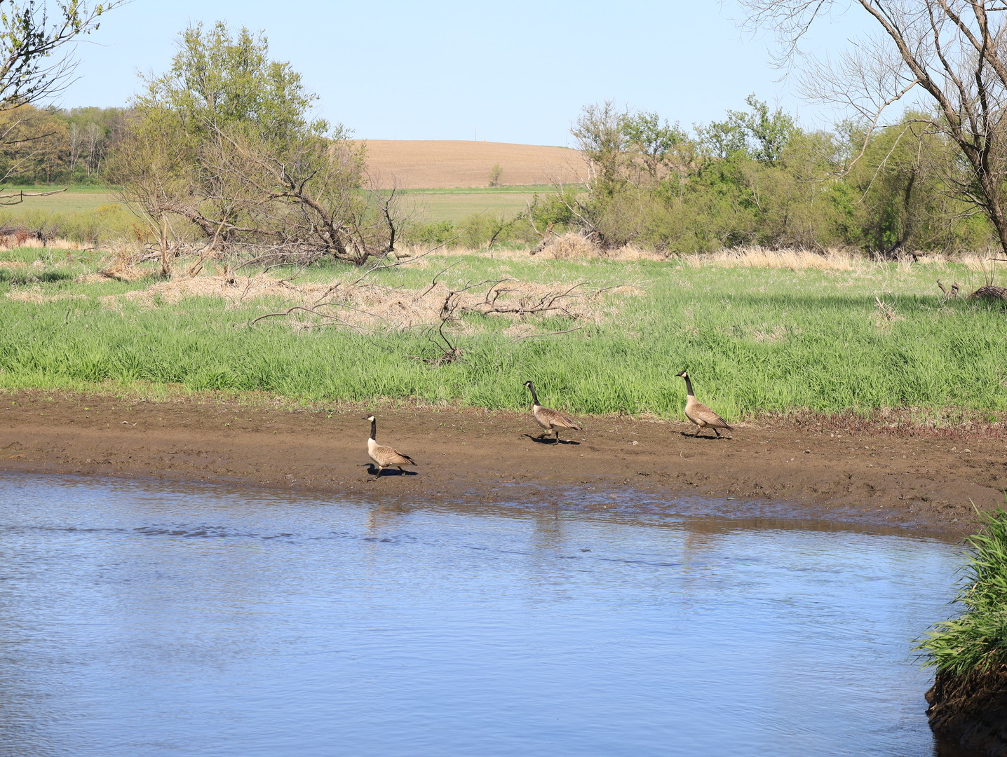 0 County Rd M Road Browntown, WI 53522 - Photo 47 of 59