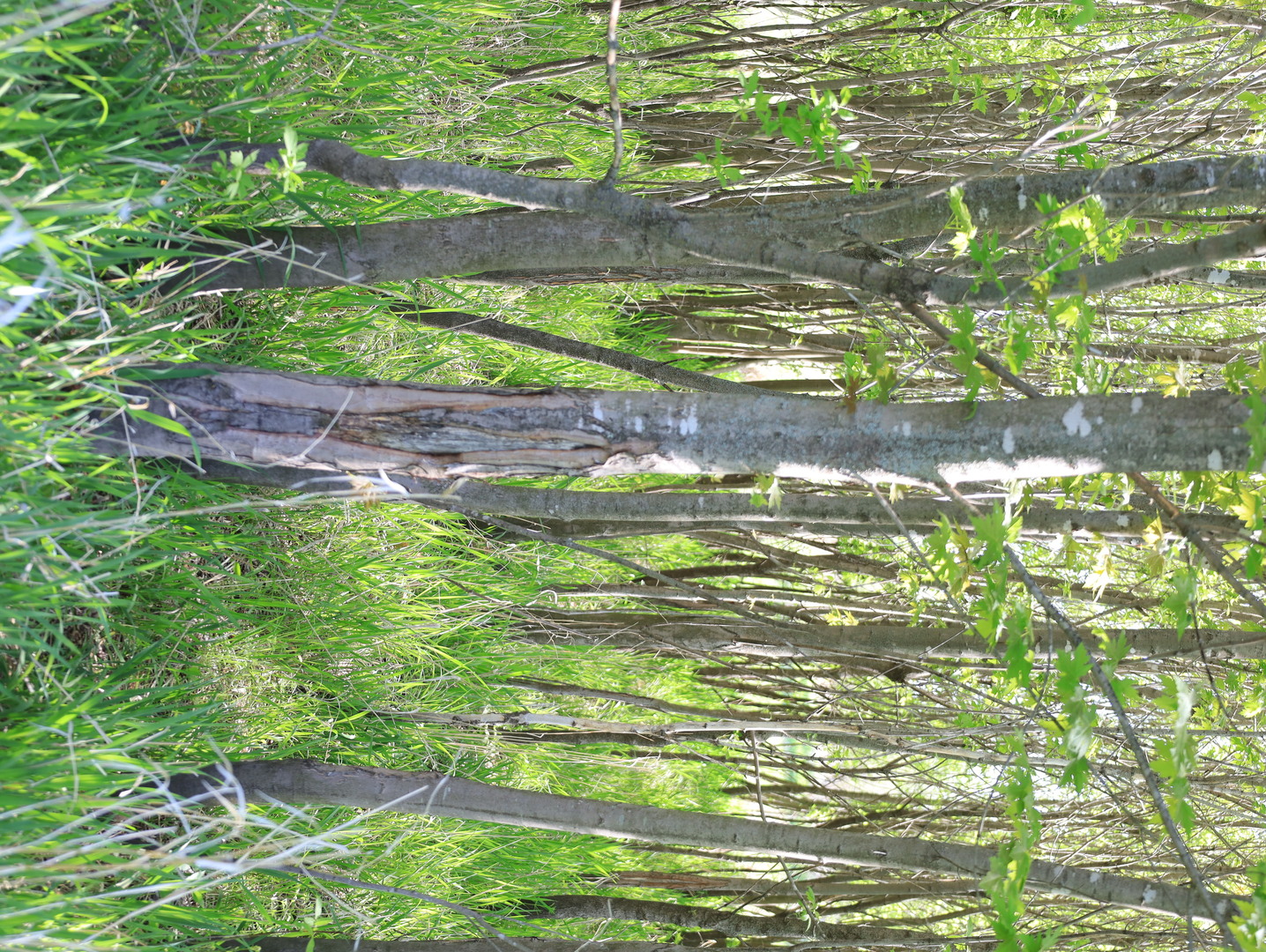 0 County Rd M Road Browntown, WI 53522 - Photo 49 of 59 a backyard of a house with a yard and outdoor seating