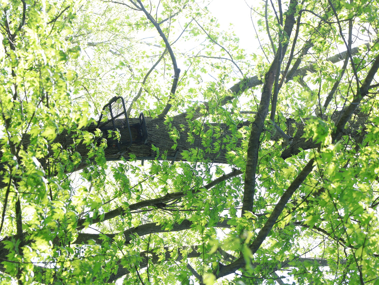 0 County Rd M Road Browntown, WI 53522 - Photo 51 of 59