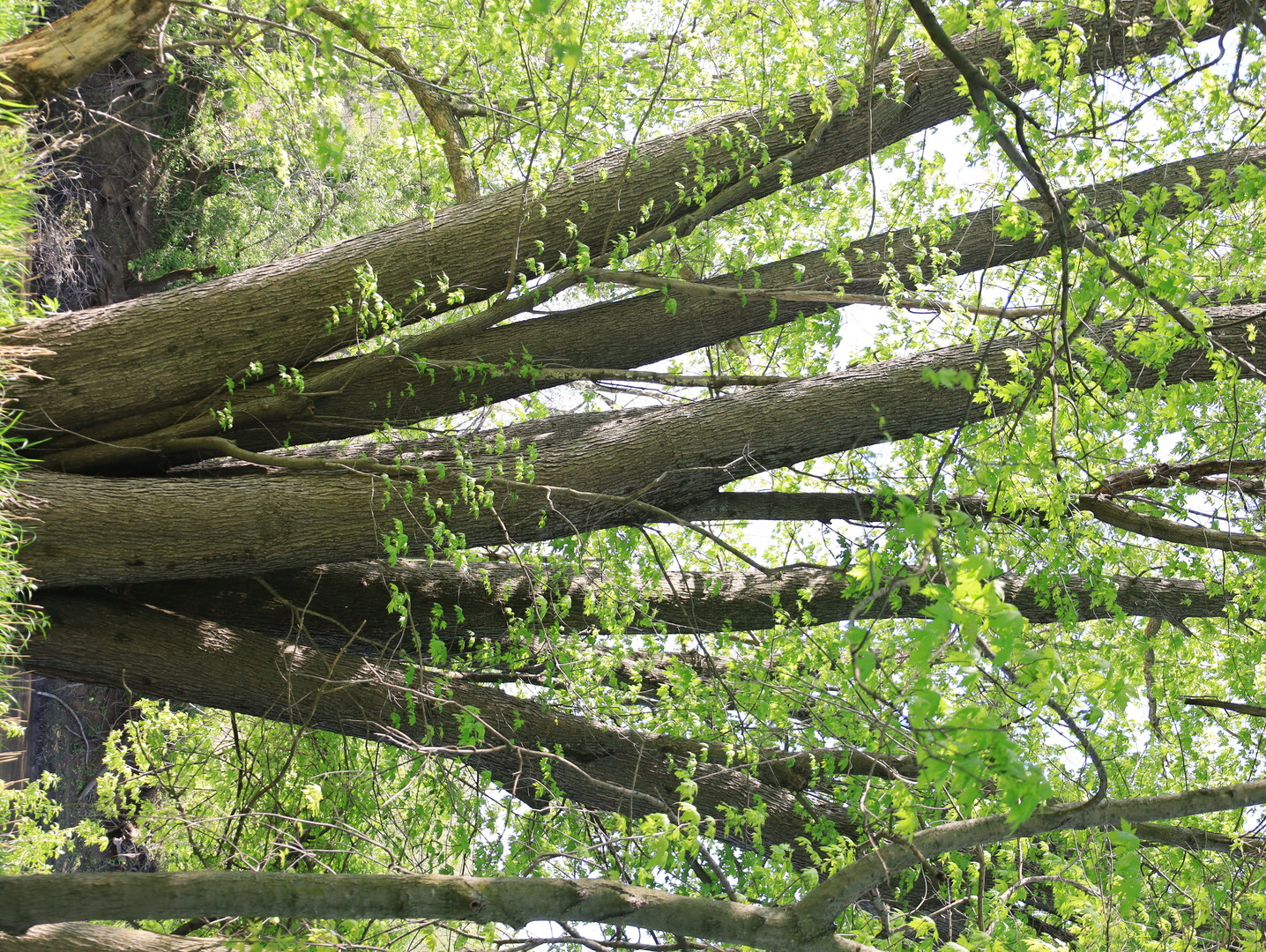 0 County Rd M Road Browntown, WI 53522 - Photo 52 of 59