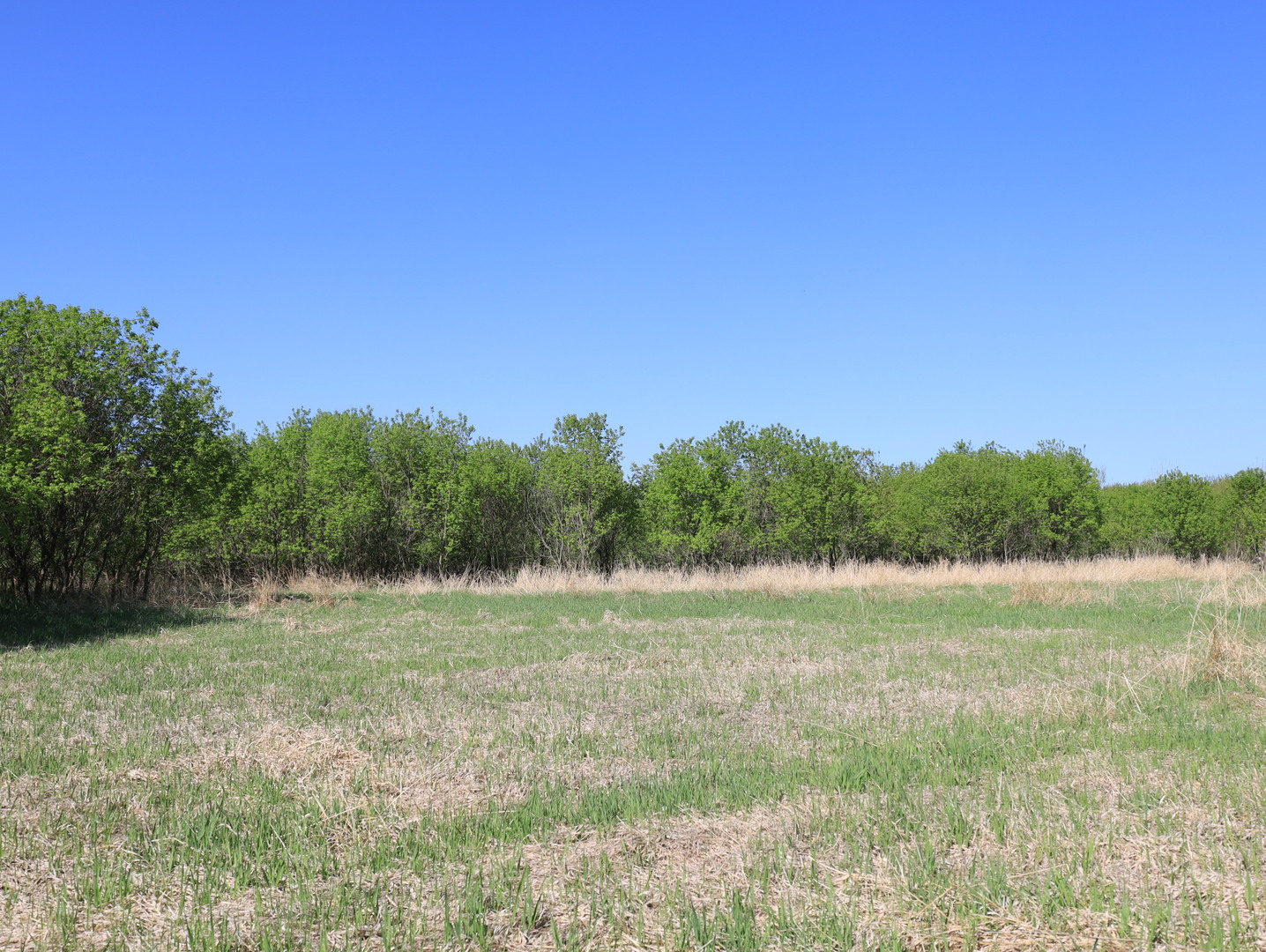 0 County Rd M Road Browntown, WI 53522 - Photo 54 of 59 a view of outdoor space with mountain view