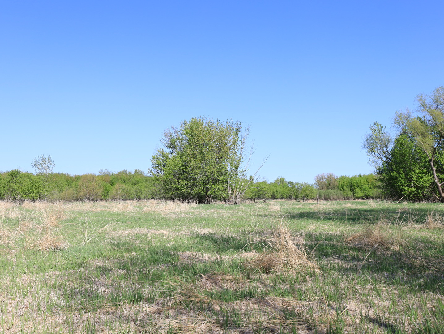 0 County Rd M Road Browntown, WI 53522 - Photo 55 of 59 a view of a lake with a mountain in the background