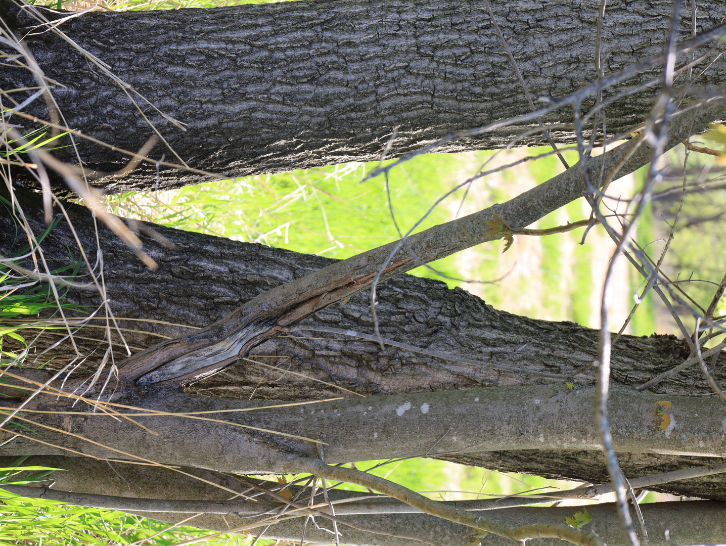 0 County Rd M Road Browntown, WI 53522 - Photo 56 of 59 a view of small pool