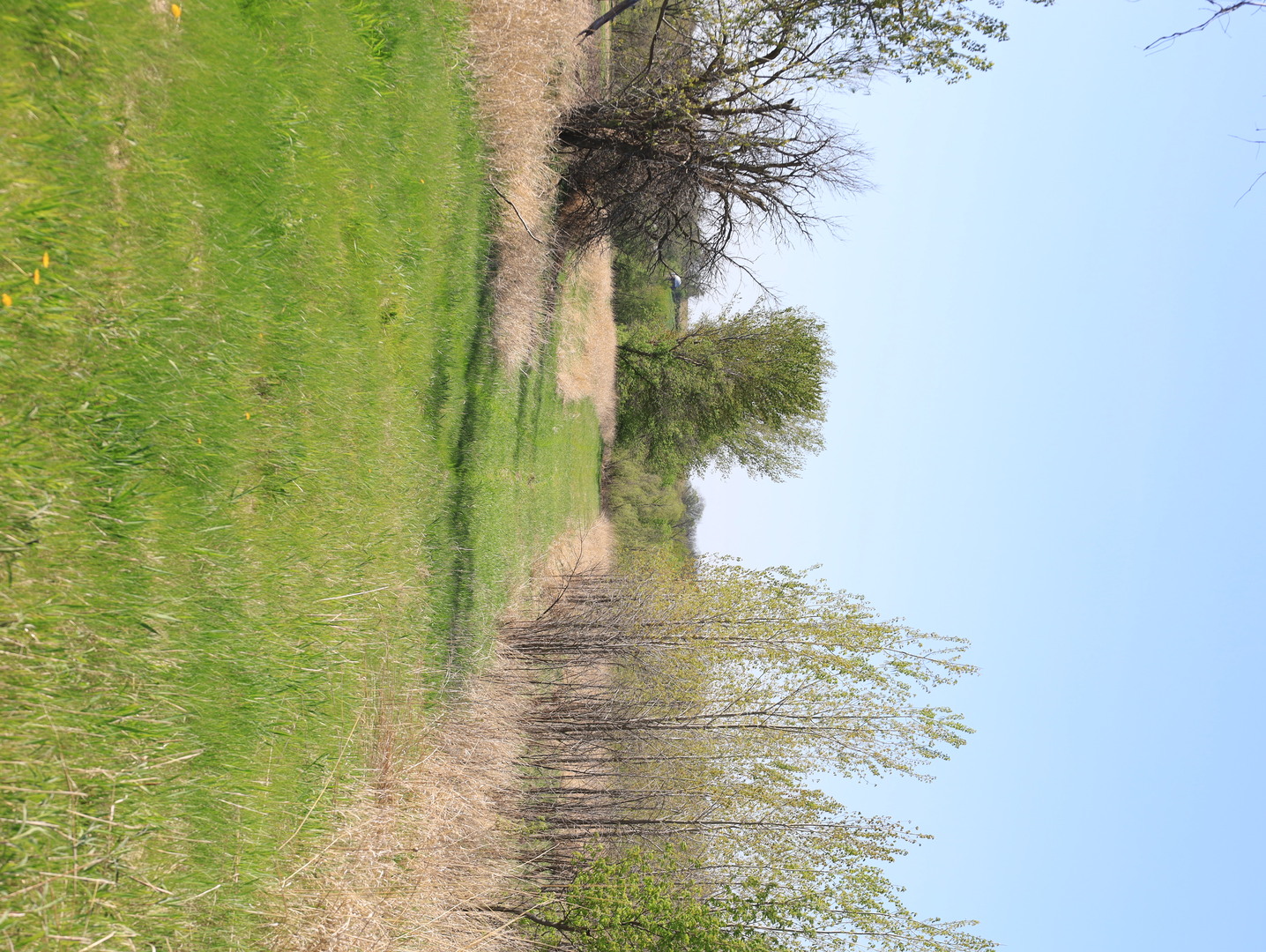 0 County Rd M Road Browntown, WI 53522 - Photo 58 of 59 a view of a garden