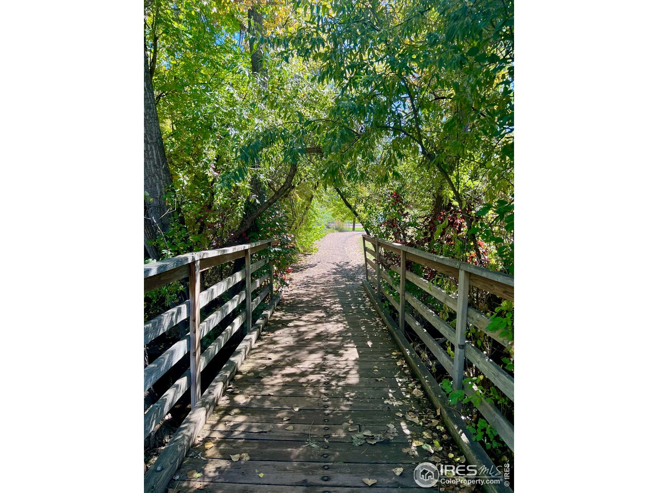1705 Heatheridge Road, Unit 204 Fort Collins, CO 80526 - Photo 22 of 32 Bridge over Creek leading to the Trails