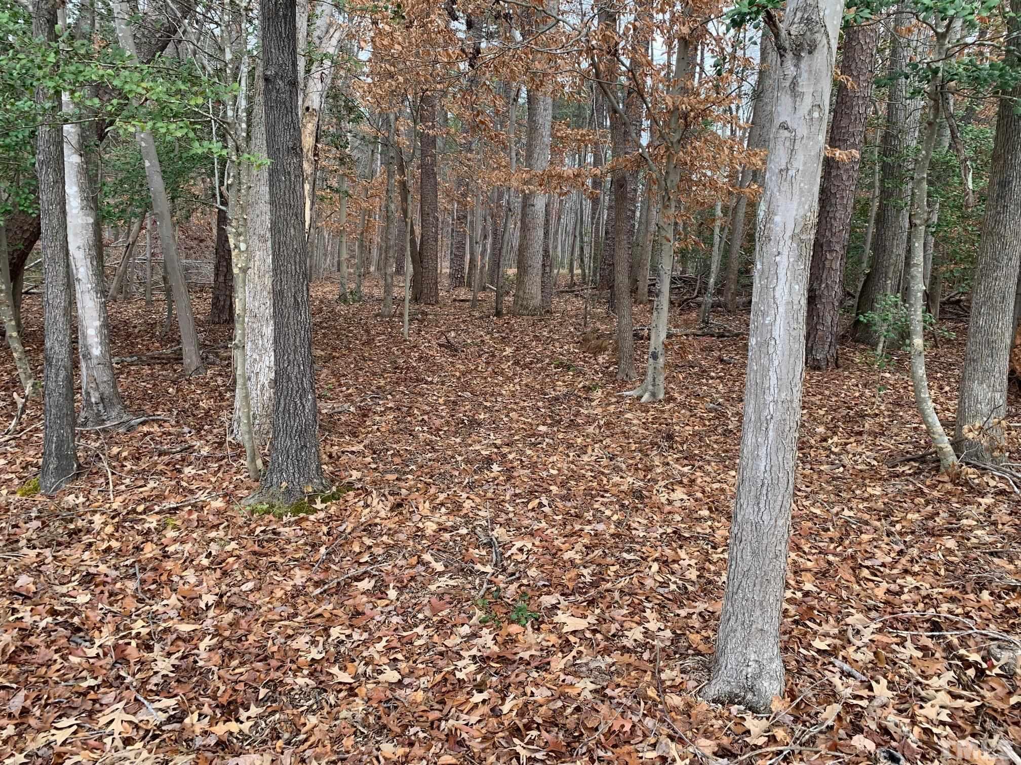 75 Max Finn Lane Roxboro, NC 27574 - Photo 5 of 11 a view of a backyard