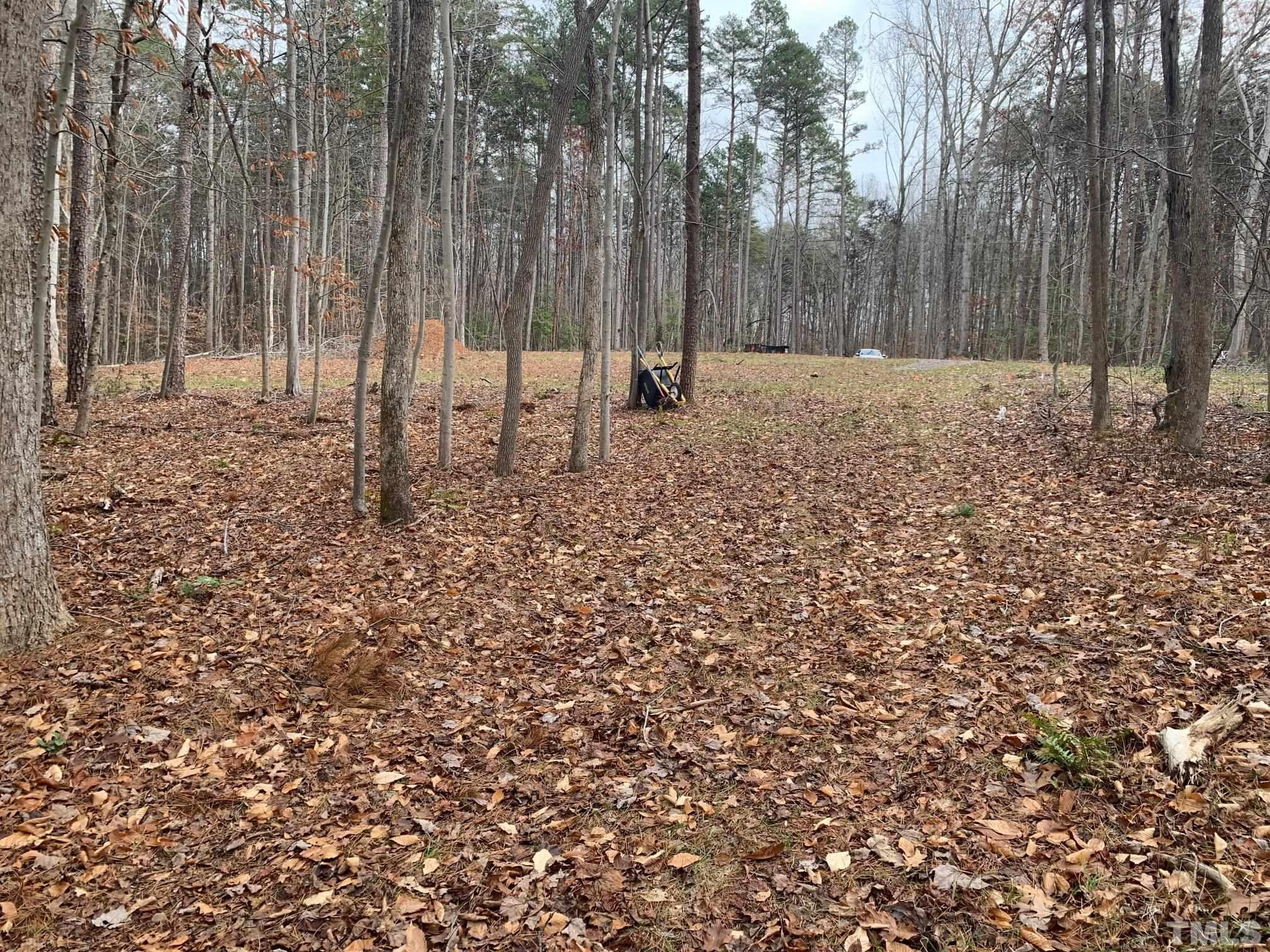 75 Max Finn Lane Roxboro, NC 27574 - Photo 6 of 11 a backyard of a house with lots of trees