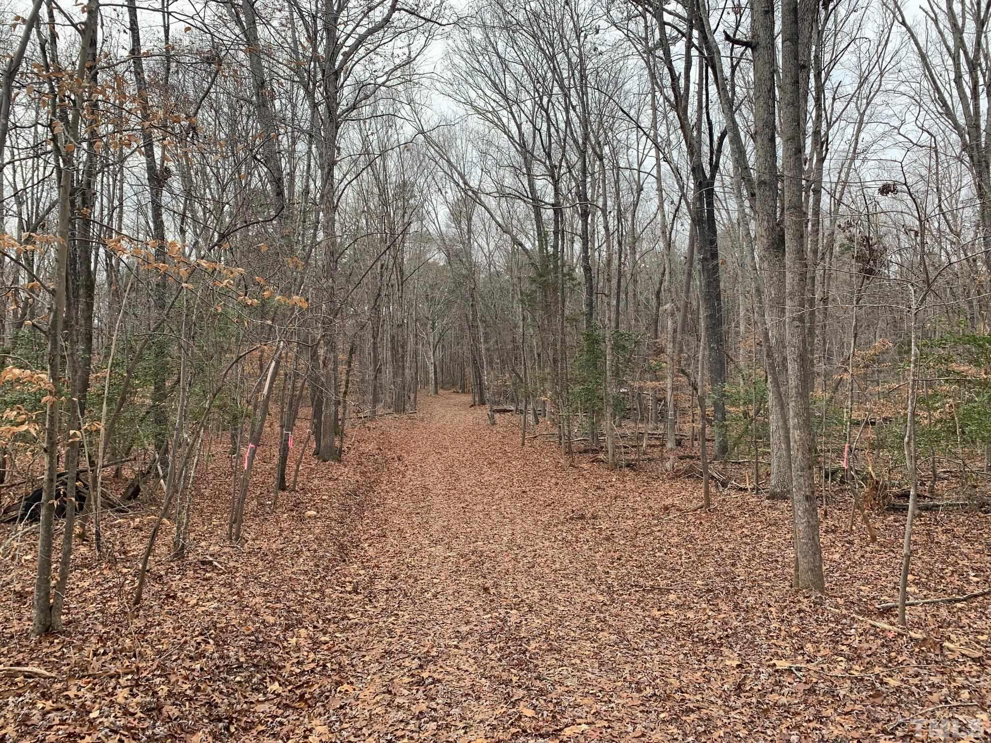 75 Max Finn Lane Roxboro, NC 27574 - Photo 7 of 11 a view of a yard with trees