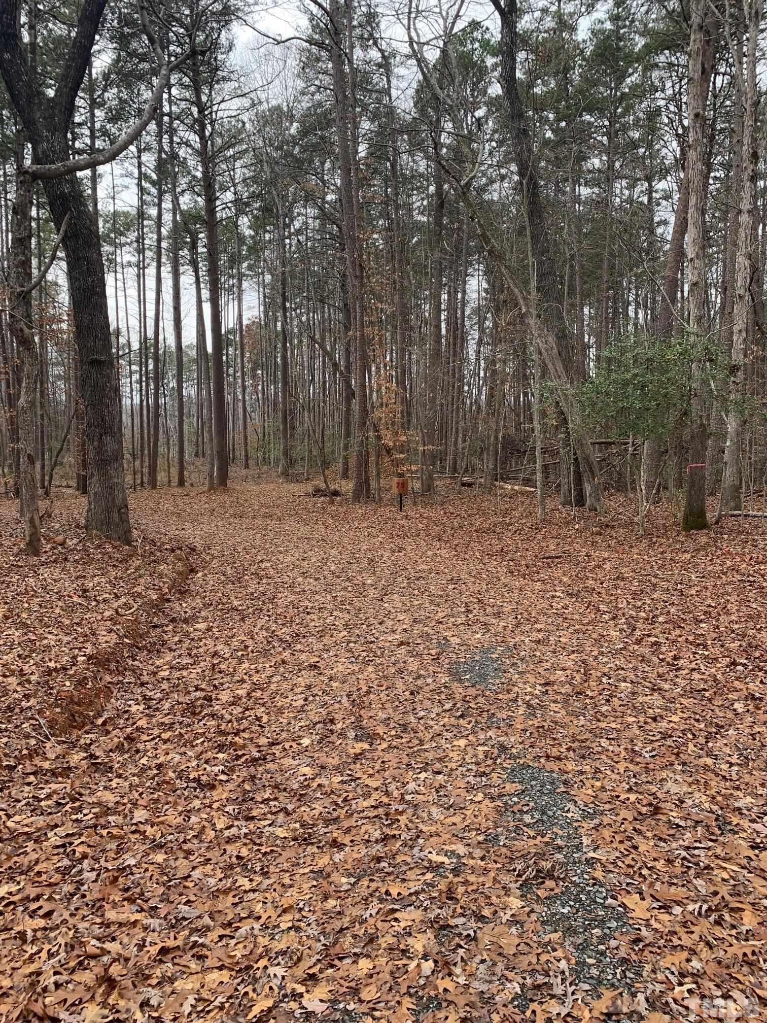 75 Max Finn Lane Roxboro, NC 27574 - Photo 8 of 11 a big yard with trees in the background