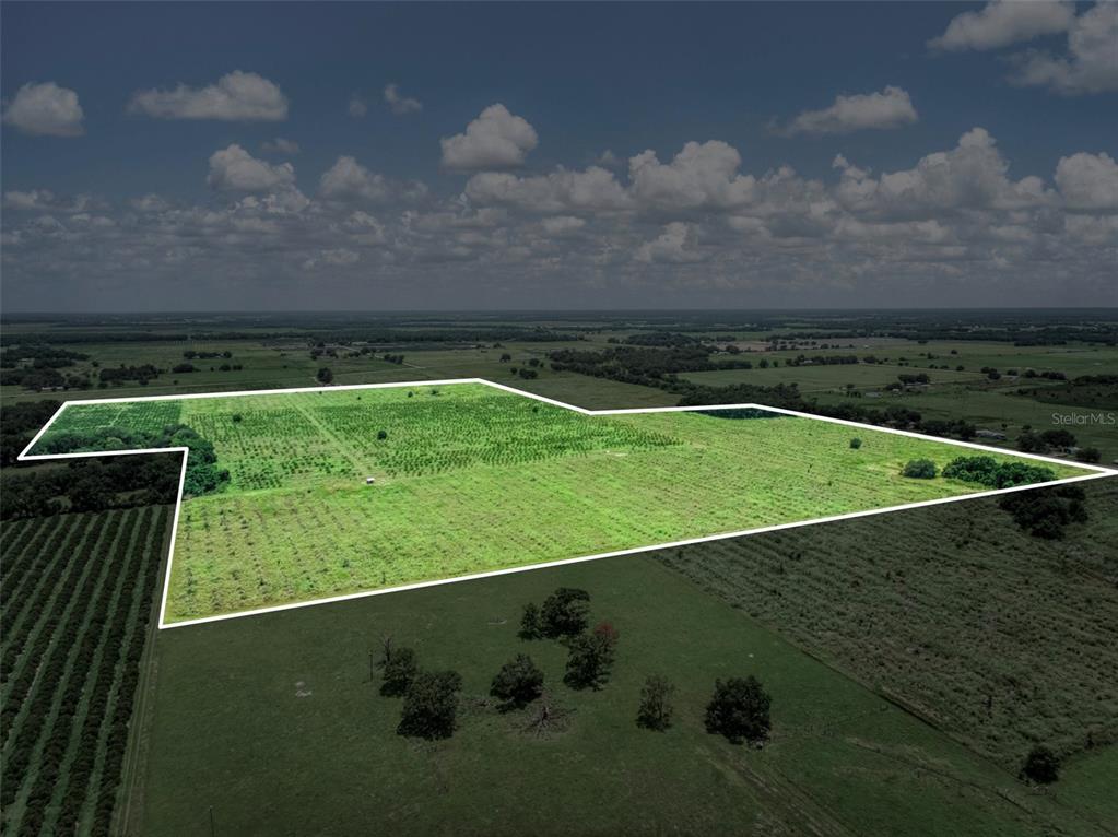0 Stephens Road Wauchula, FL 33873 - Photo 1 of 5