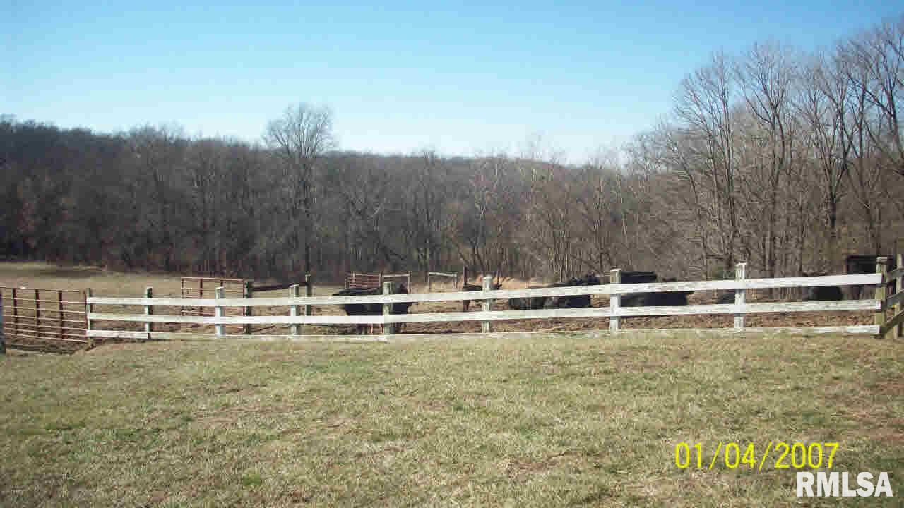 4586 Ballpark Road Steeleville, IL 62288 - Photo 12 of 15