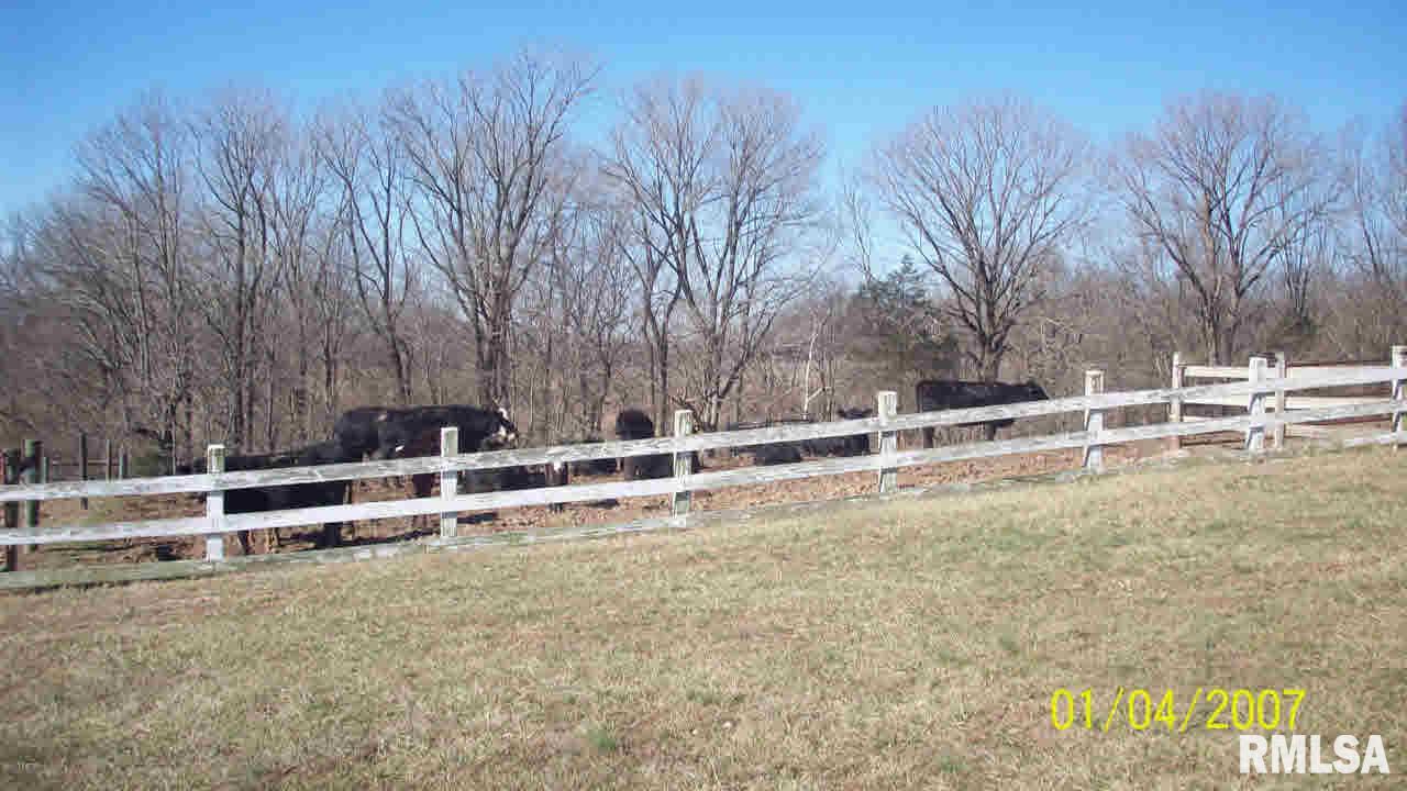 4586 Ballpark Road Steeleville, IL 62288 - Photo 14 of 15