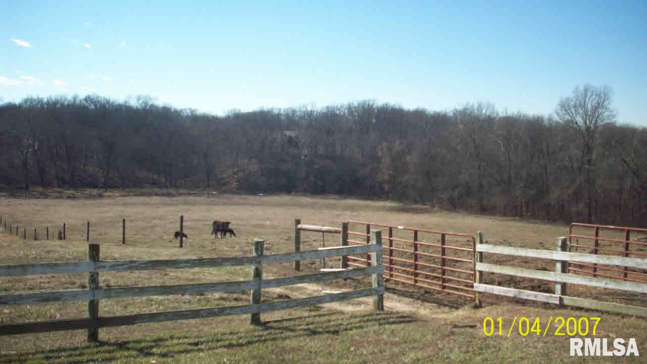 4586 Ballpark Road Steeleville, IL 62288 - Photo 6 of 15